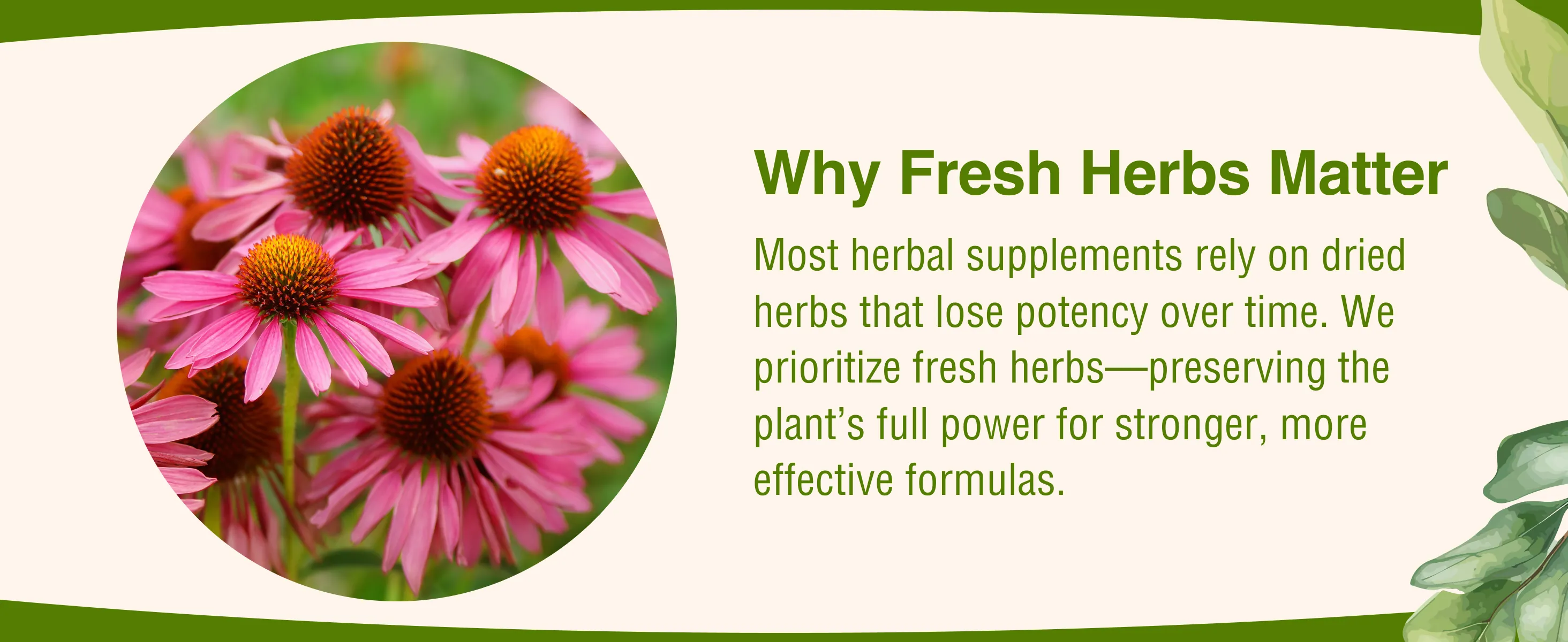 Herbs Etc. Deep Sleep Softgels Review for Sleep Support image 9