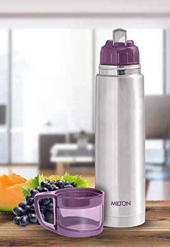 Milton Thermosteel Glassy Review: Insulated Flask image 3